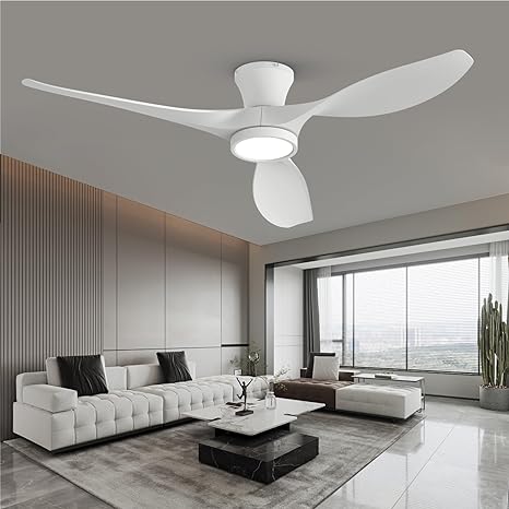 TALOYA 52 inch Ceiling Fans with Lights Remote Control